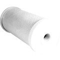 WF24510-CF ABC Carbon Filter